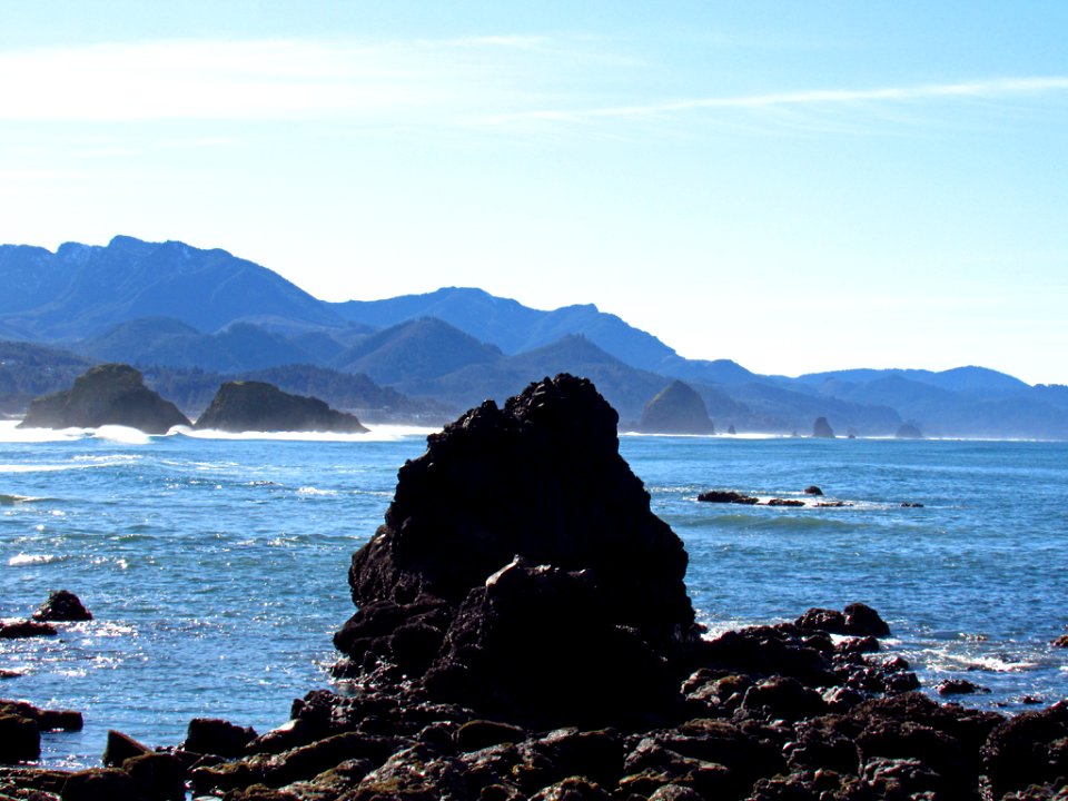 Low Tide at Pacific Coast in OR photo