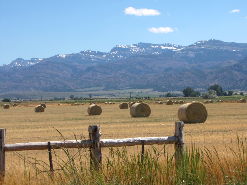 Surprise Valley Barrel Springs Back-Country Byway