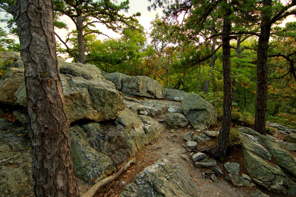  DSC0172