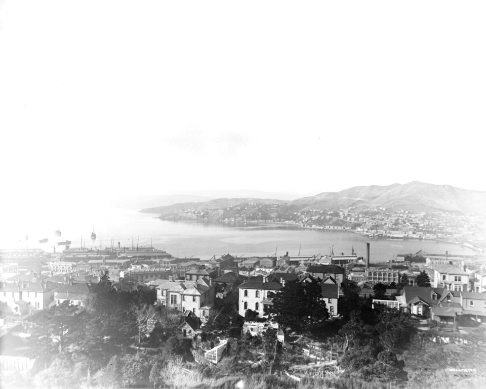 8; Wellington from Kelburn Hills - Circa 1890 - Glass Plate Negative