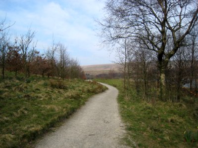 IMG 0739