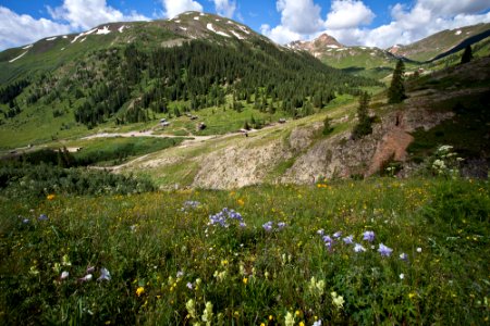 Alpine Triangle