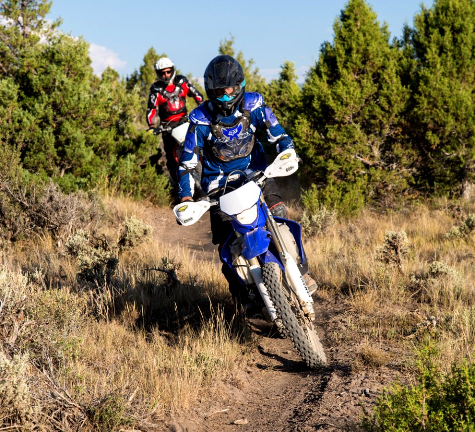 small-Bocco Mtn OHV CO-1278