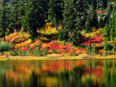 Autumn at Picture Lake in WA