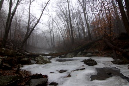 Mist on river photo