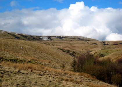 IMG 0473-2