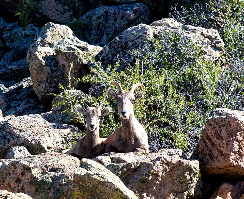 Browns Canyon National Monument
