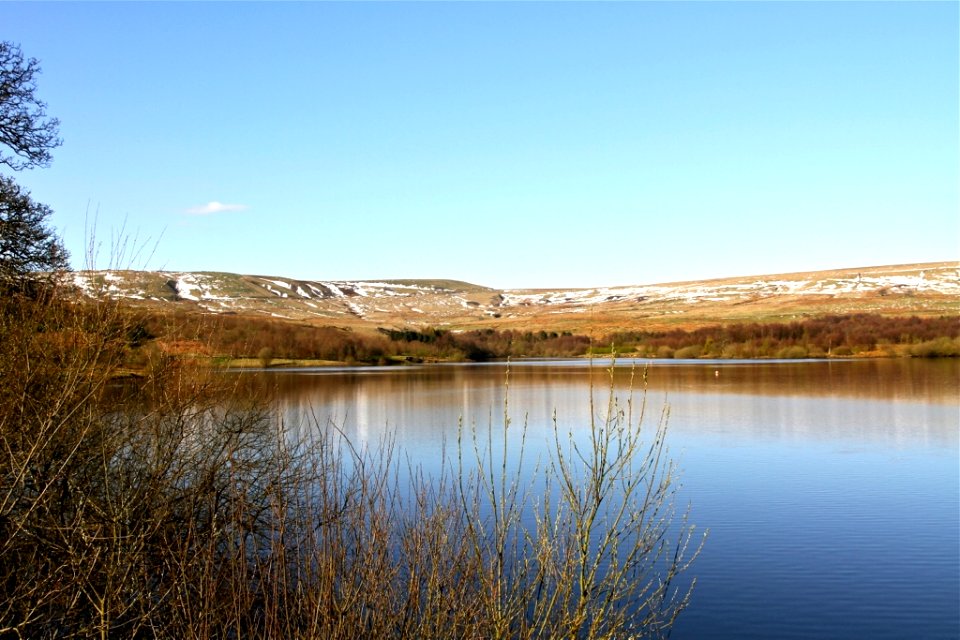 IMG 0867
