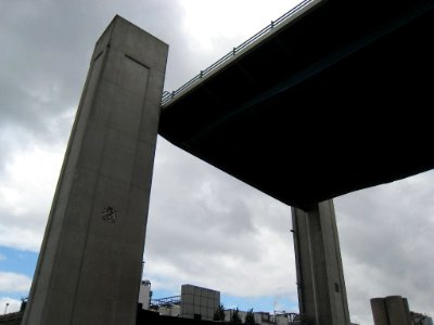 2008 08 01 028