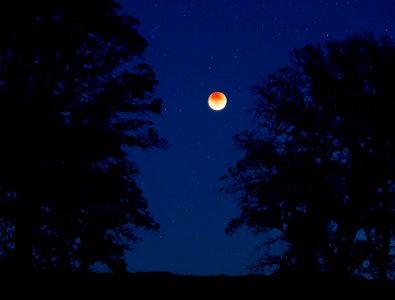 Berryessa Snow Mountain National Monument photo