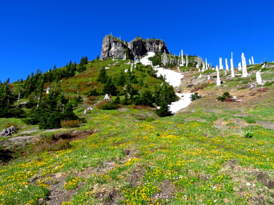Coldwater Peak at Mt. Margaret Backcountry in WA