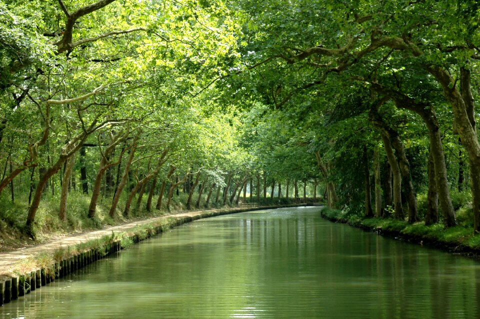 Landscape green calm