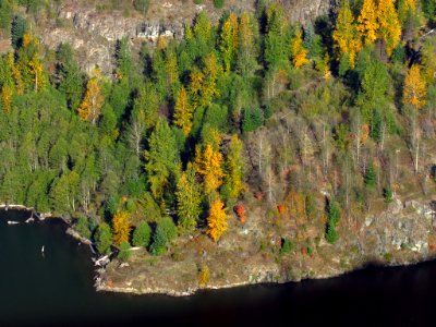 Coldwater Lake Loop Trail in WA