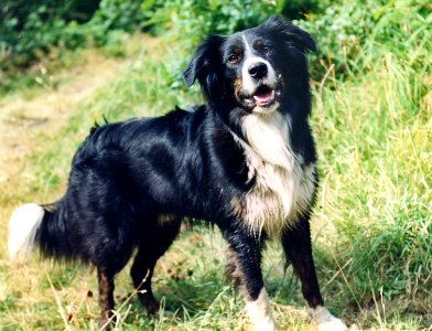 2011 05 10 Bob