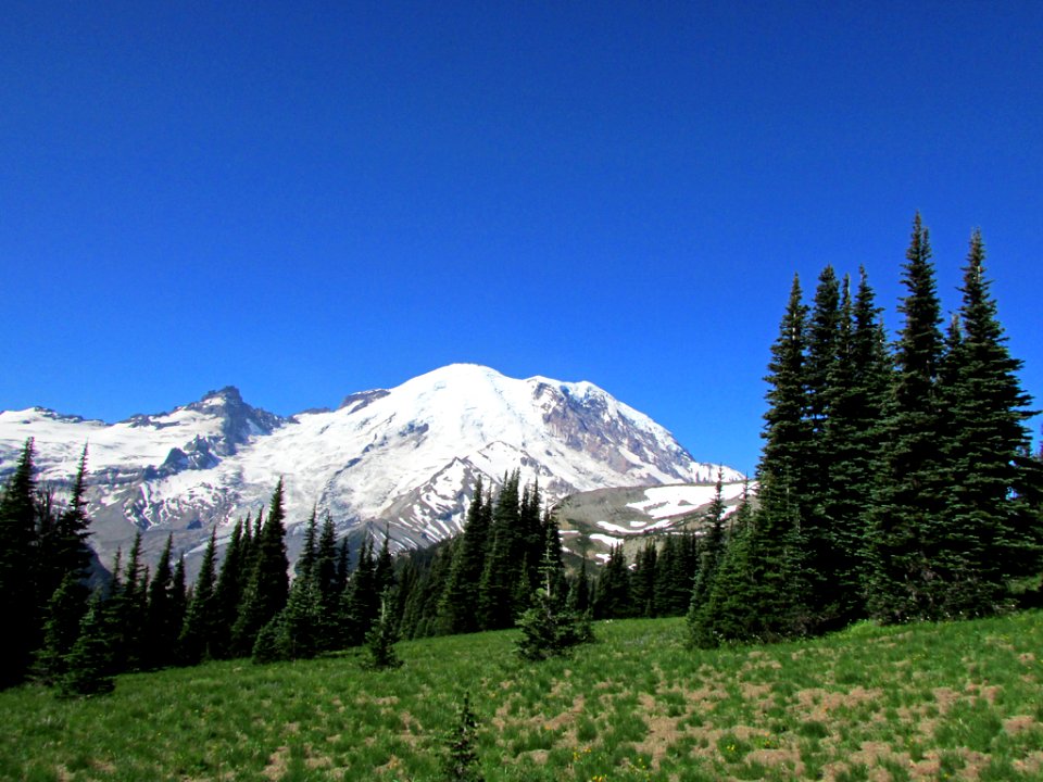 Mt. Rainier NP in WA