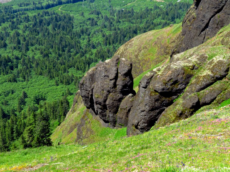 Saddle Mountain Trail in OR