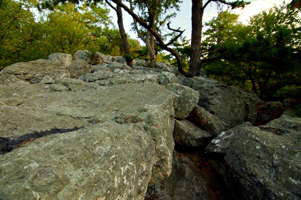  DSC0183