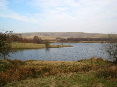 IMG 0753