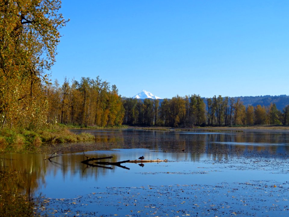 Autumn at Steigerwald Lake NWR in WA