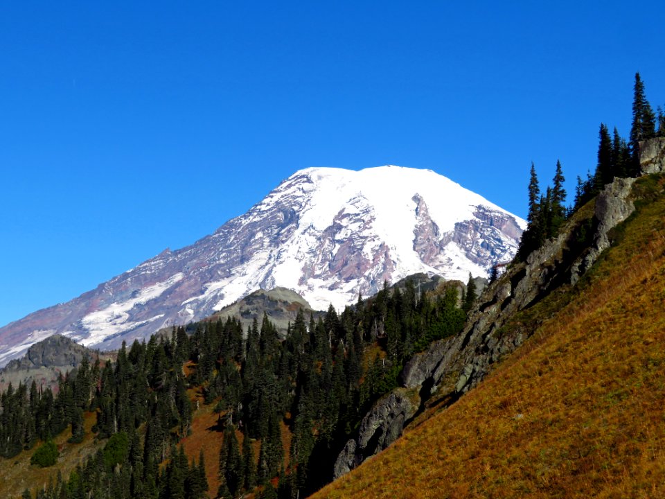 Mt. Rainier at Tatoosh Ridge in WA