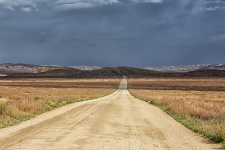 Road to Forever by Irene Reti