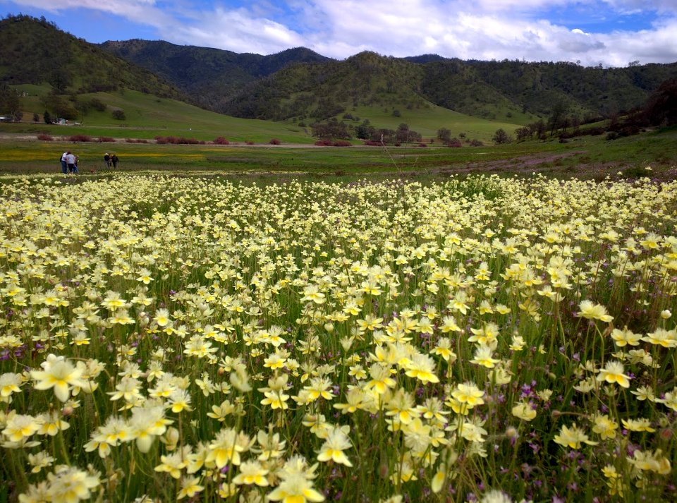 Berryessa Snow Mountain National Monument Dedication Celebration