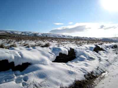 2009 02 10 003-1
