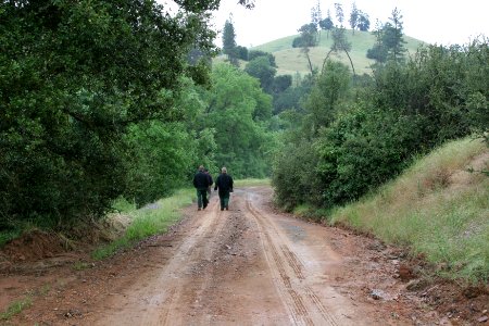Cronan Ranch