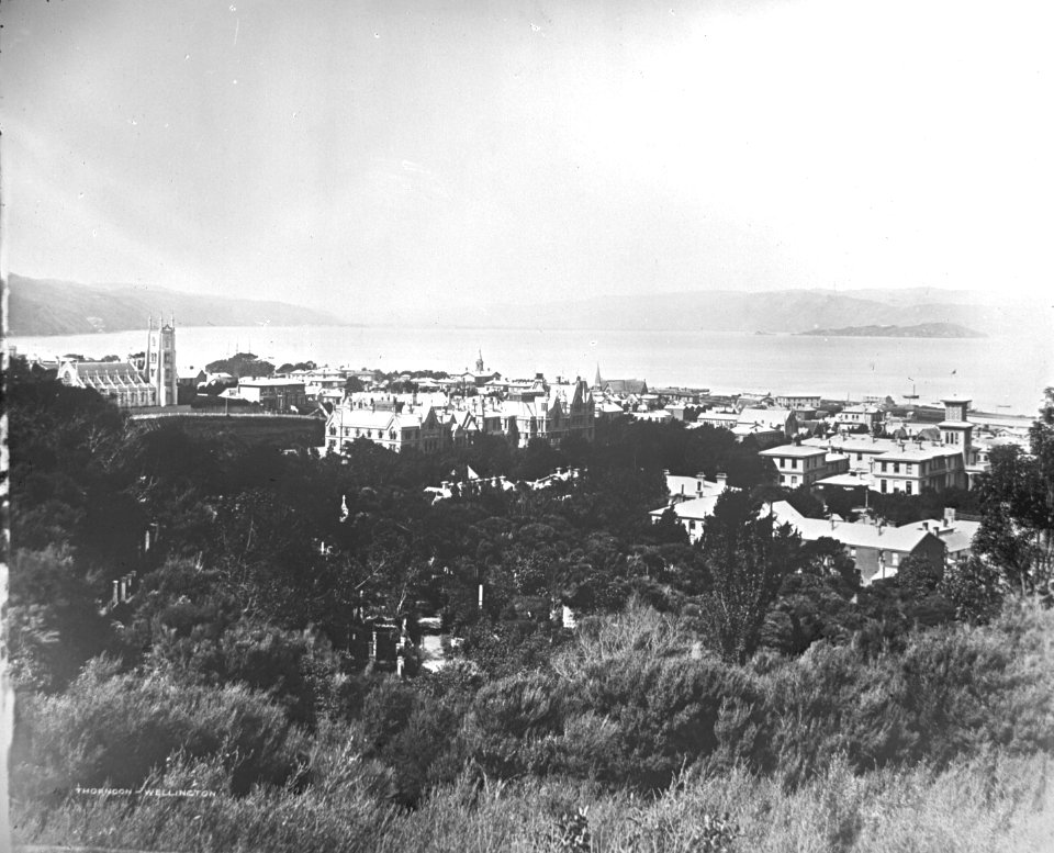 11; Elevated view of Wellington - Circa 1890 - Glass Plate Negative