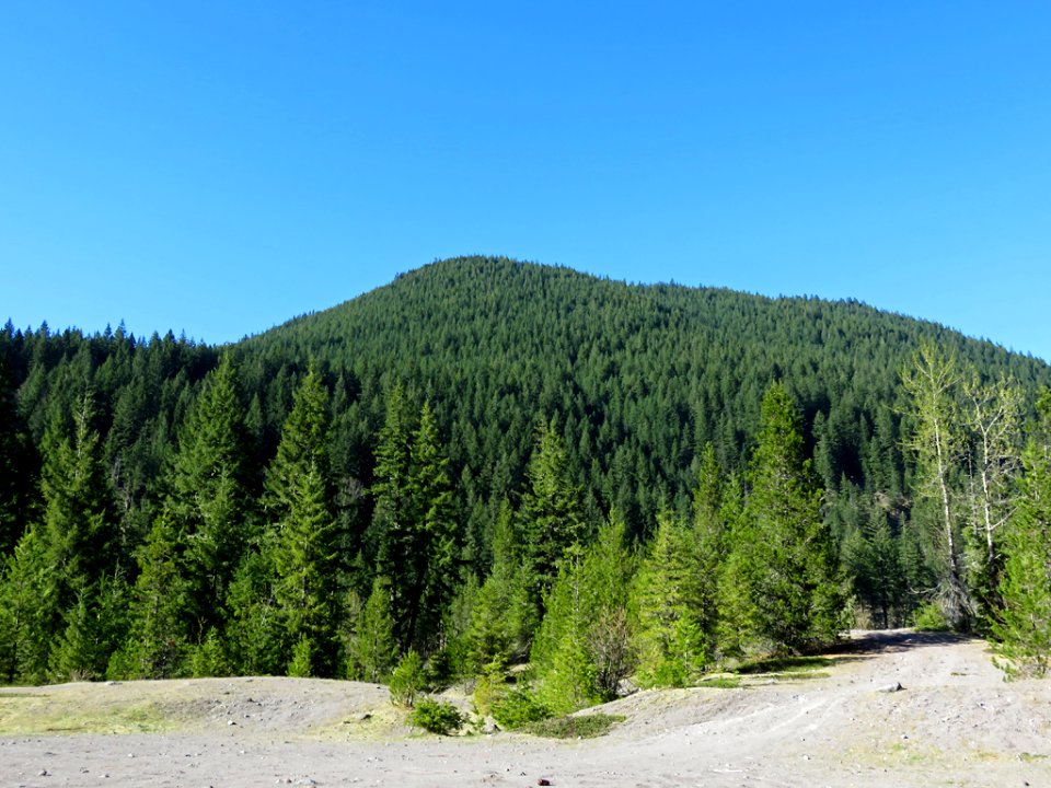 Ramona Falls Hike at Mt. Hood Wilderness in Oregon