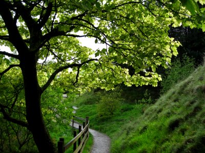 2007 05 28 045-1