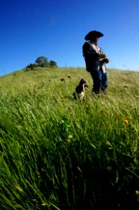 Flocking Back to the Hills of Cronan Ranch photo