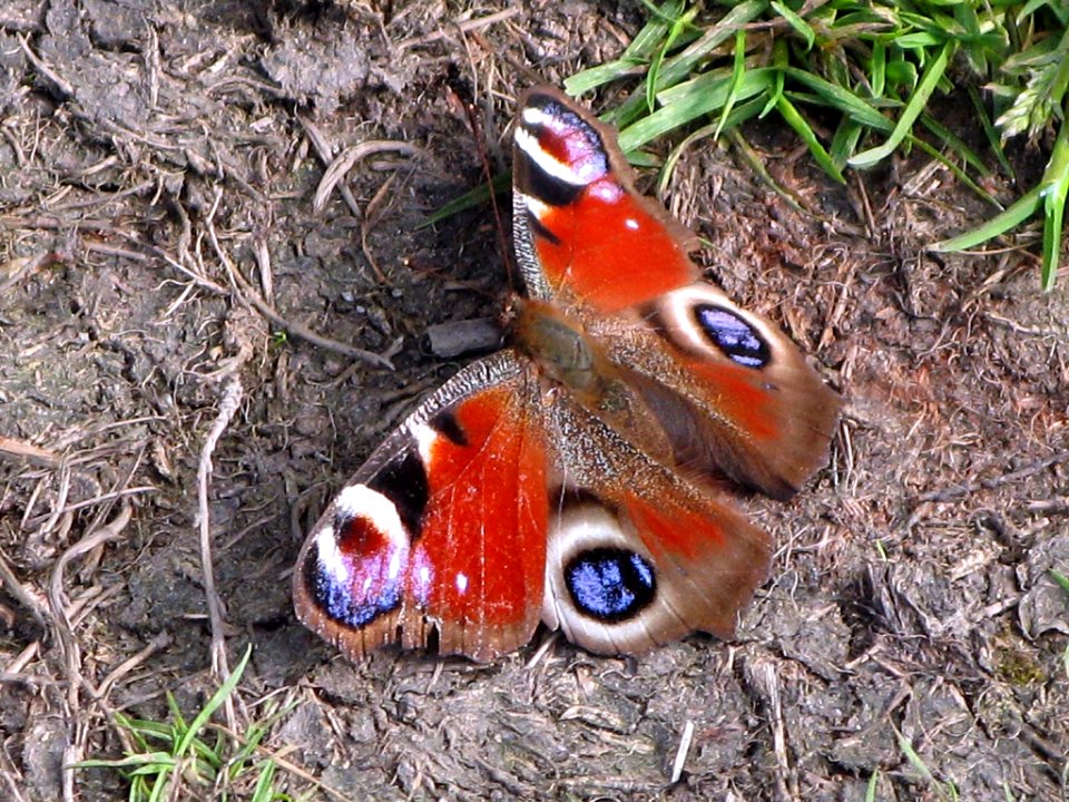 2007 05 25 047a edited-2
