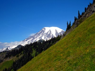 Mt. Rainier at Tatoosh Wilderness in WA photo