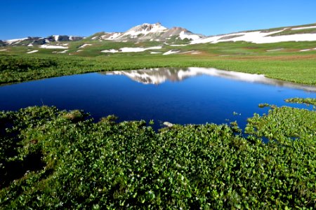 Uncompahgre Wilderness