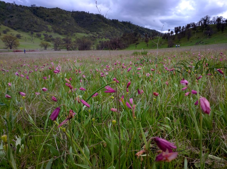 Berryessa Snow Mountain National Monument Dedication Celebration