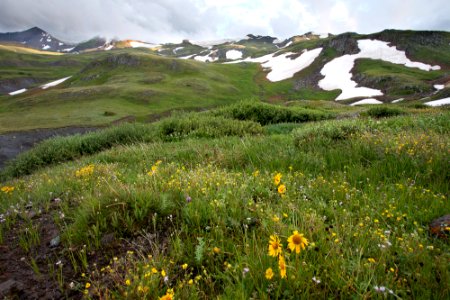 Alpine Triangle