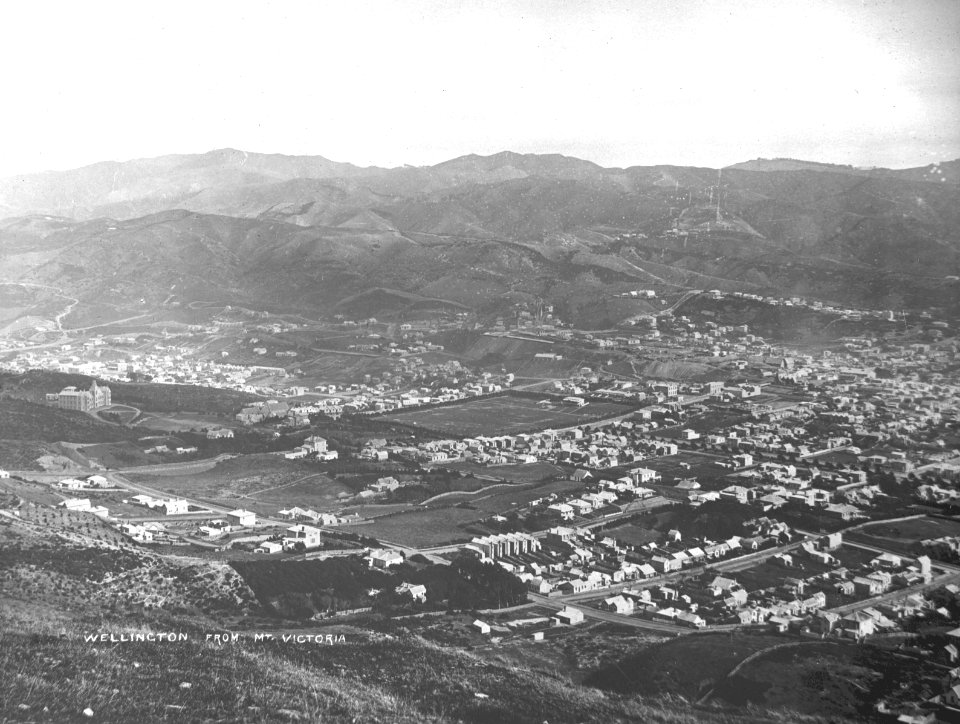 29; Elevated view of Te Aro - Circa 1890 - Glass Plate Negative