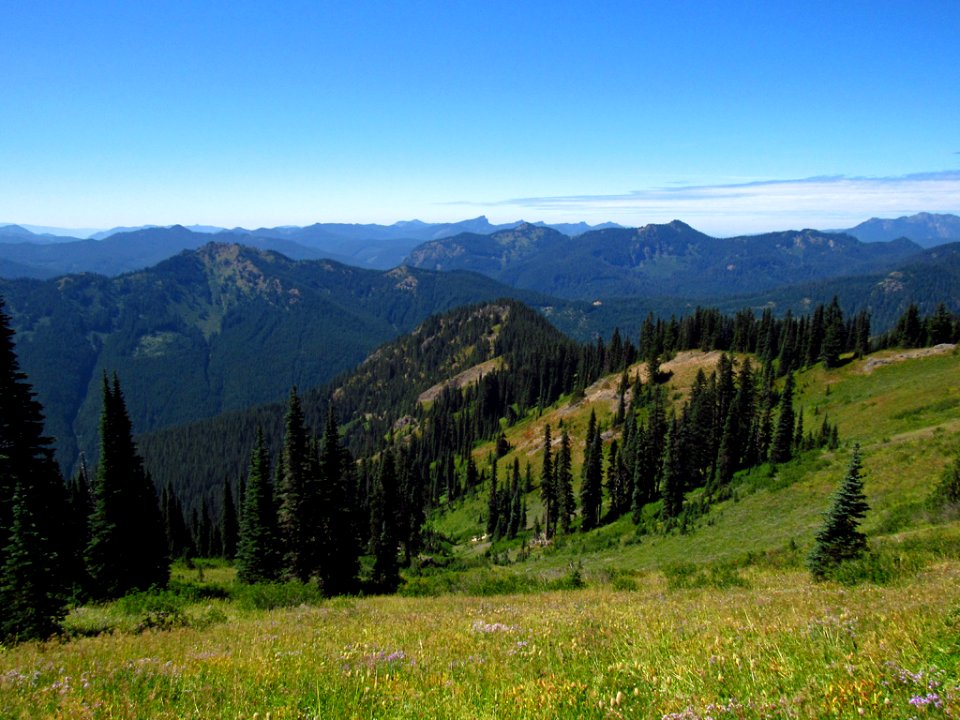 Tatoosh Wilderness in WA