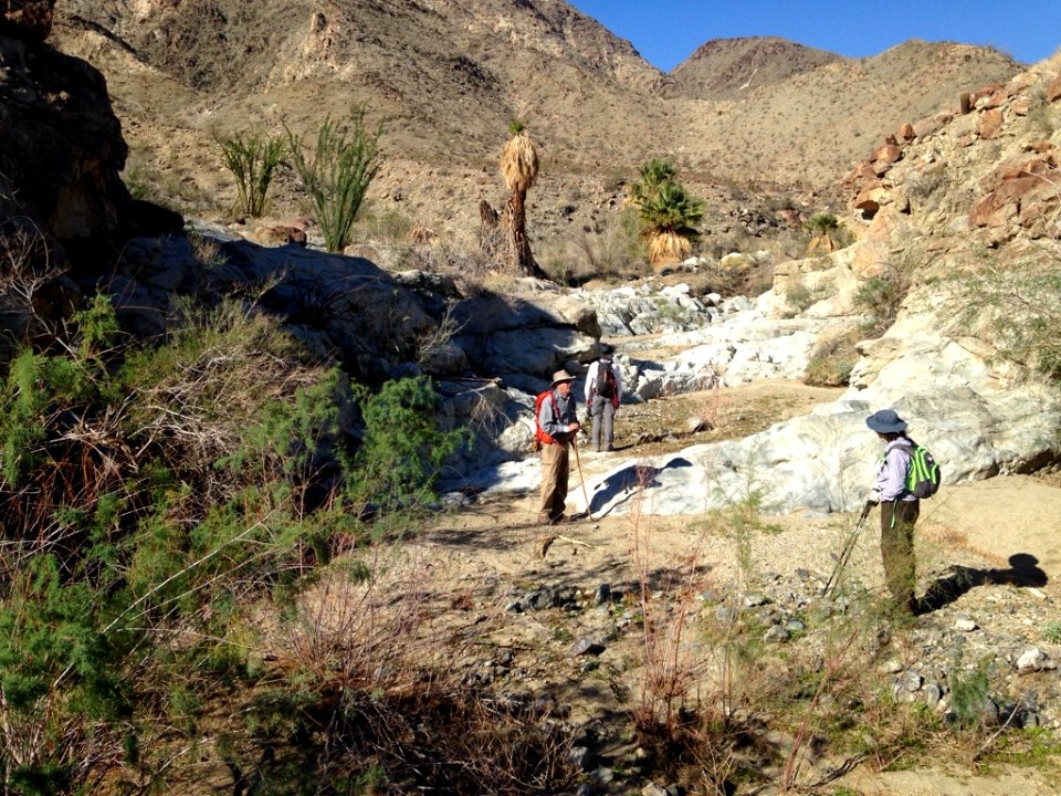 Hiking in the Santa Rosa Wilderness in Palm Springs-South Coast Field Office
