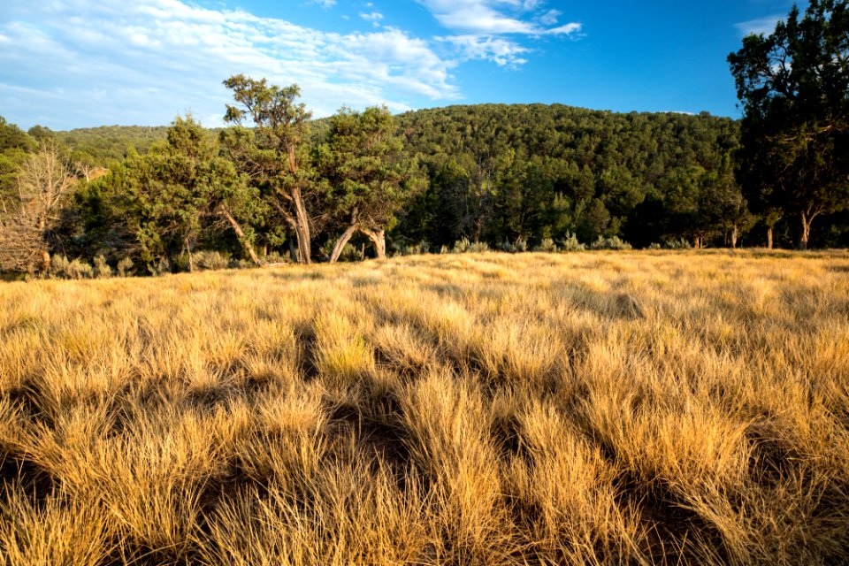small Sutey Ranch CO-0199