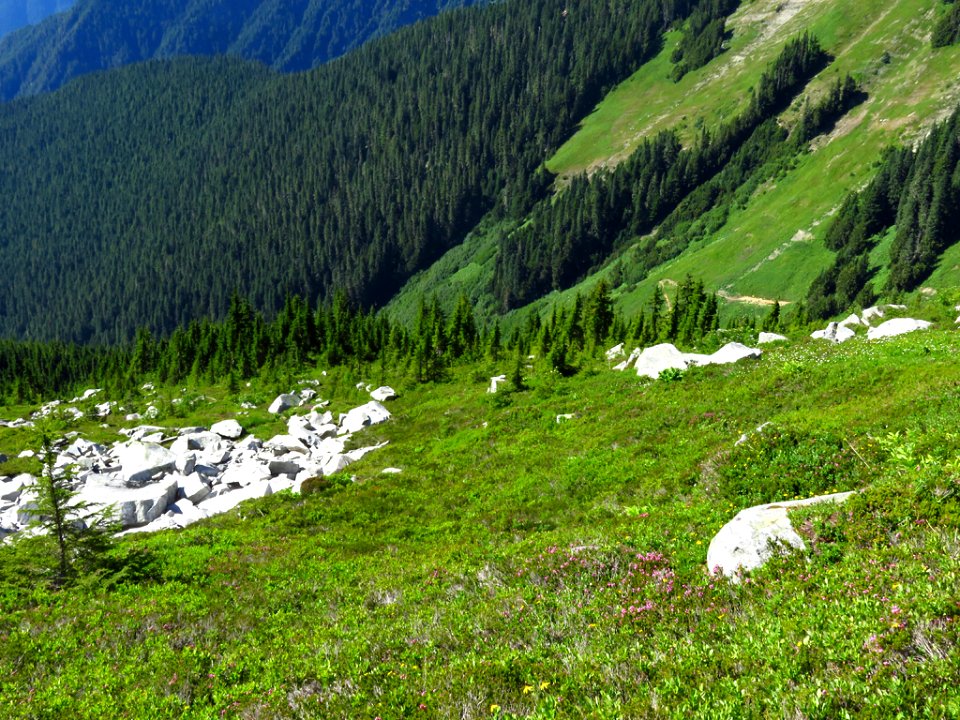 Hidden Lake Trail at North Cascades NP in WA