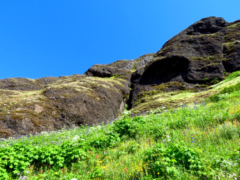 Saddle Mountain Trail in OR