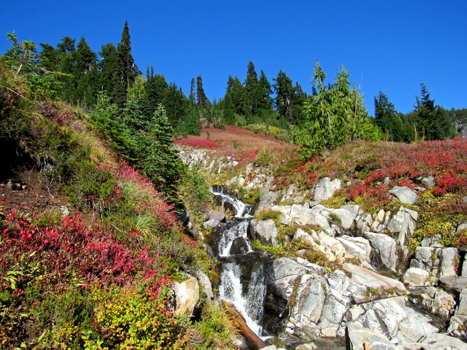 Autumn at Skyline Trail at Mt. Rainier NP in WA