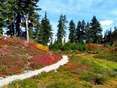 Autumn at Artist Point in WA