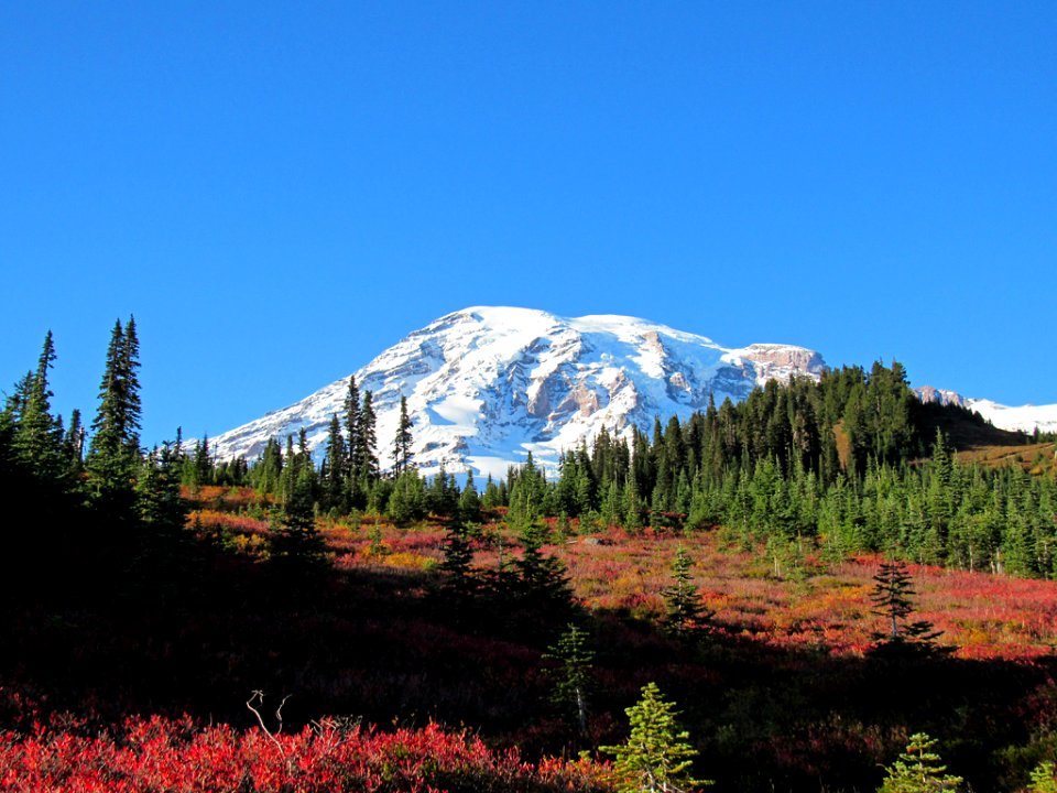 Autumn at Skyline Trail at Mt. Rainier NP in WA