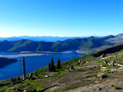 Mt. Margaret Backcountry in WA
