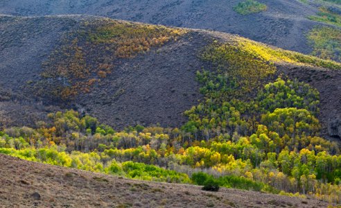 Conway Summit Area of Critical Environmental Concern