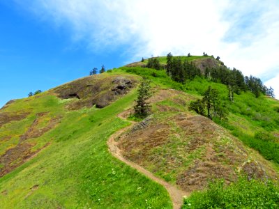 Saddle Mountain Trail in OR
