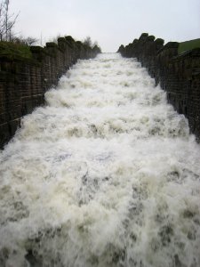 IMG 0281